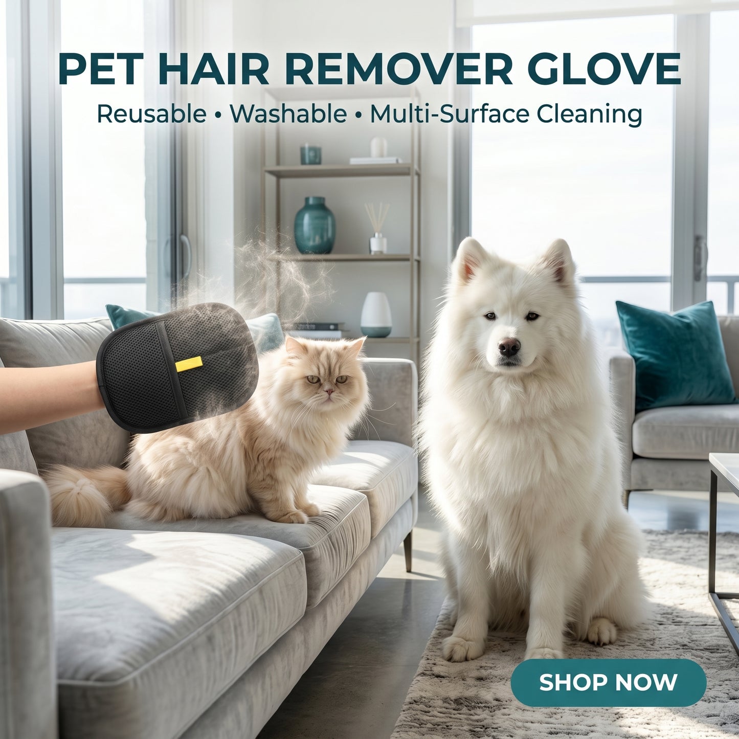 Pet Hair Removal Gloves (Reusable Grooming Mitt)